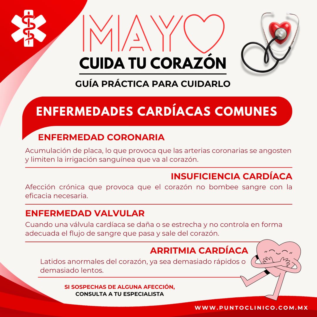 serie mayo corazon (1)