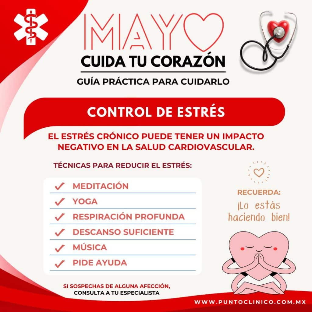 serie mayo corazon (7)